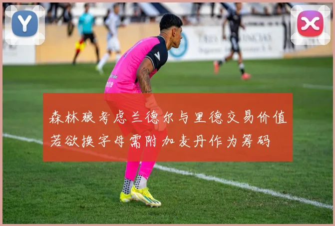 森林狼考虑兰德尔与里德交易价值若欲换字母需附加麦丹作为筹码